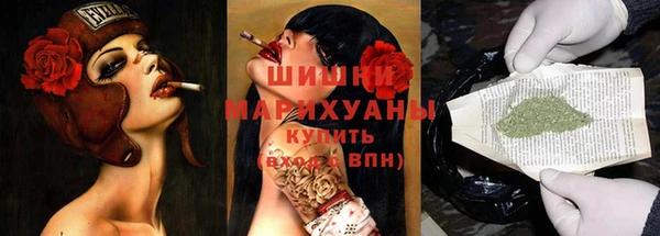 стаф Краснослободск