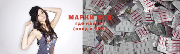 стаф Краснослободск