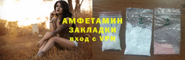 индика Краснотурьинск