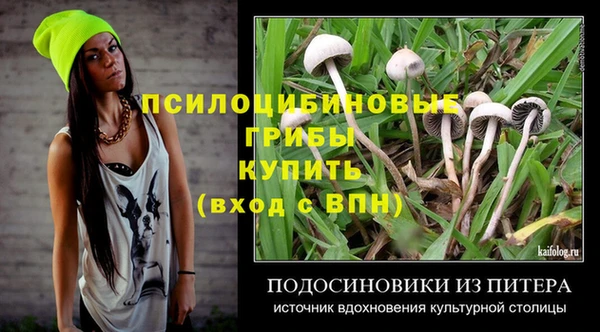 индика Краснотурьинск
