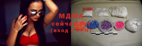 индика Краснотурьинск