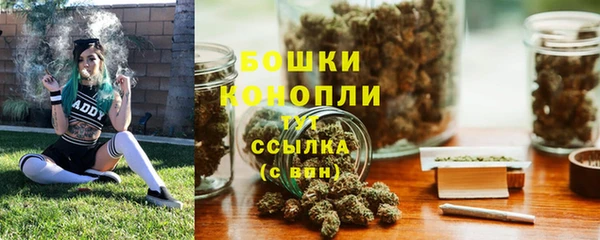 стаф Краснослободск