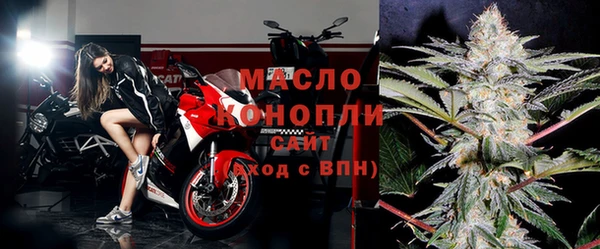 индика Краснотурьинск