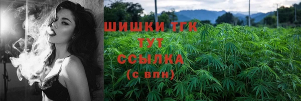 стаф Краснослободск
