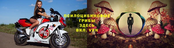 стаф Краснослободск