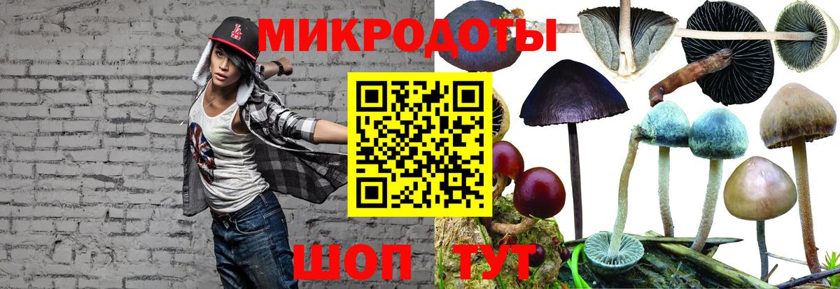 Галлюциногенные грибы мухоморы Сухой Лог