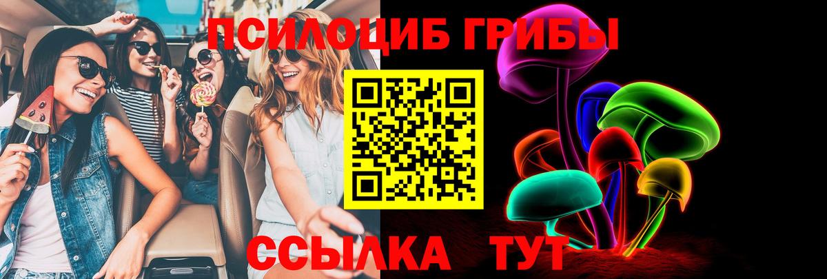 Сухой Лог  Псилоцибиновые грибы Cubensis  Вход с VPN 